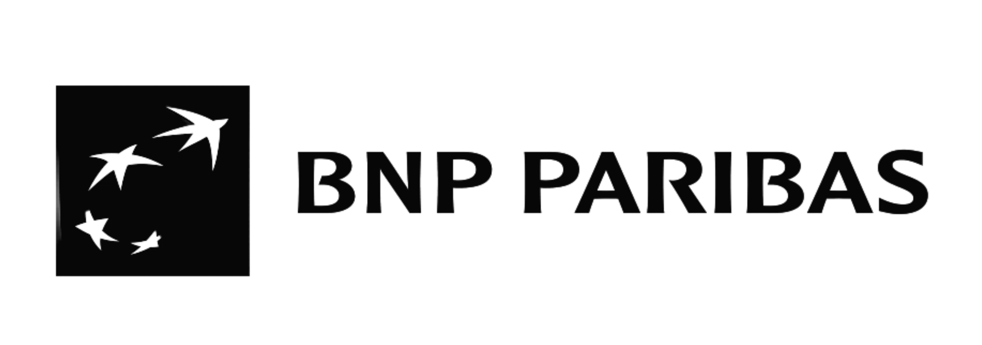 logo bnp paribas